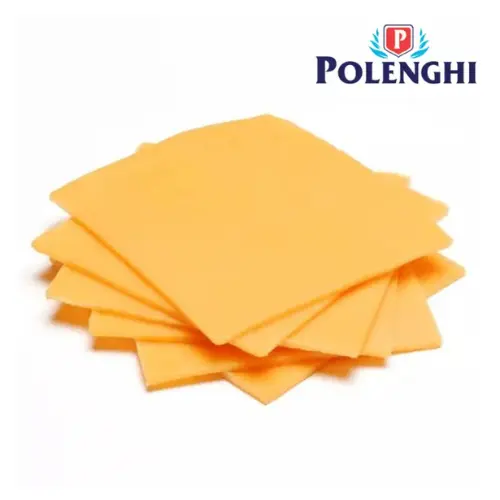 Queijo Cheddar Fatiado Polenghi 170g