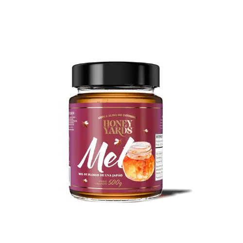 Mel Uva Japão vidro 500g Honey Yards