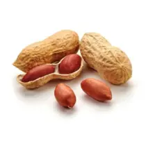 Amendoim com casca 500g Dico
